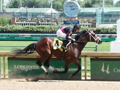 Preview: Breeders' Cup Dirt Mile 2020 ( Horses, Racecard, 20 ... Image 3